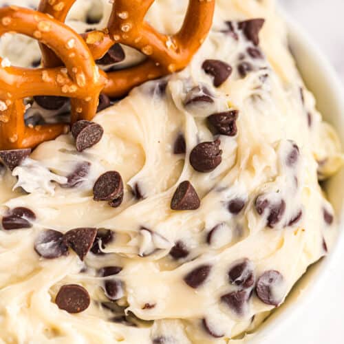 up close image of chocolate chip cookie dough dip with pretzels