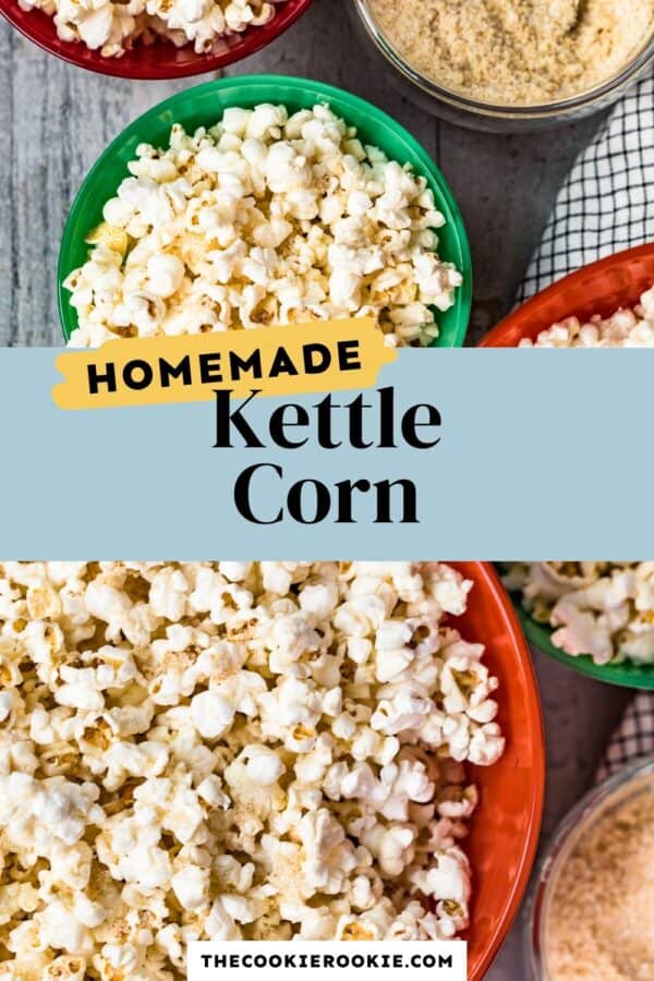 homemade kettle corn seasoning pinterest