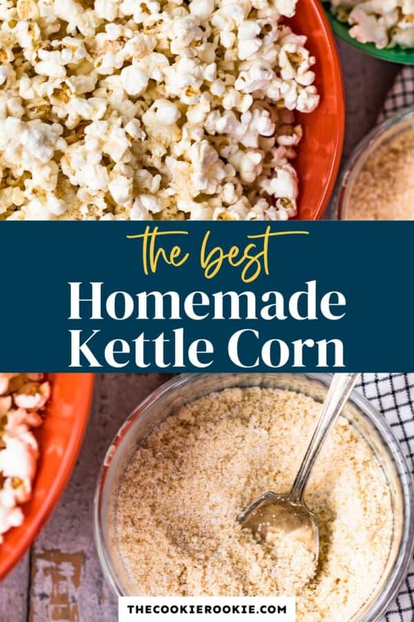 homemade kettle corn seasoning pinterest