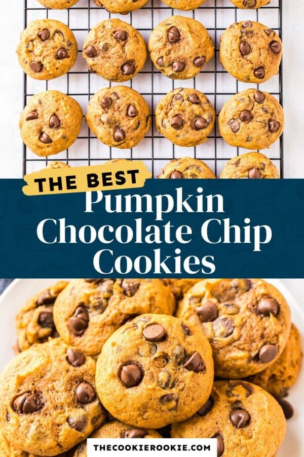pumpkin chocolate chip cookies pinterest collage