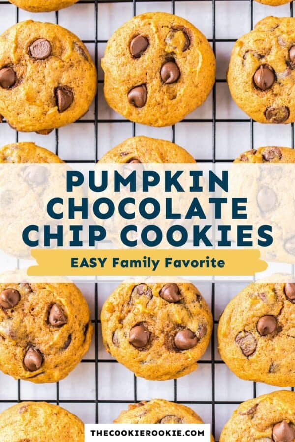 pumpkin chocolate chip cookies pinterest collage