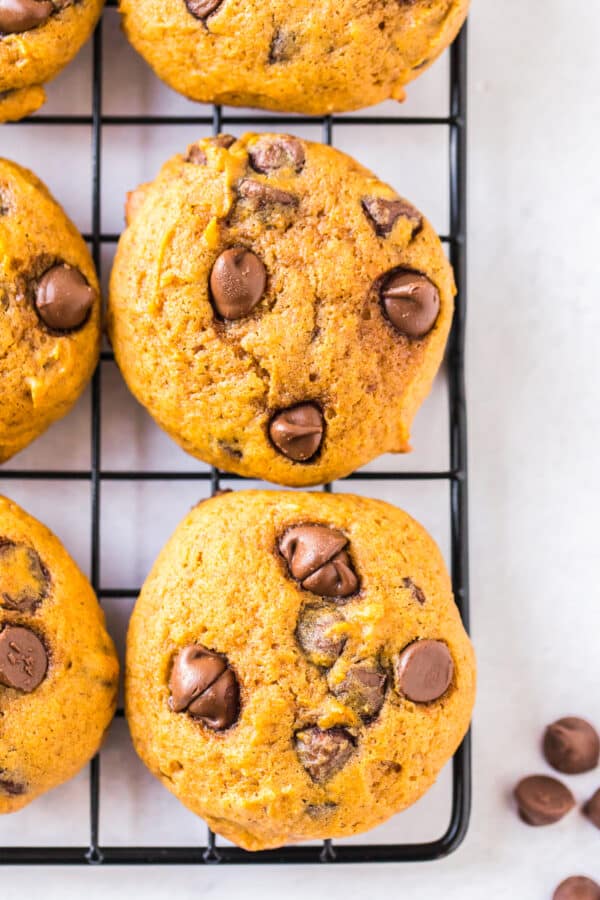 up close image of chocolate chip cookies cooling