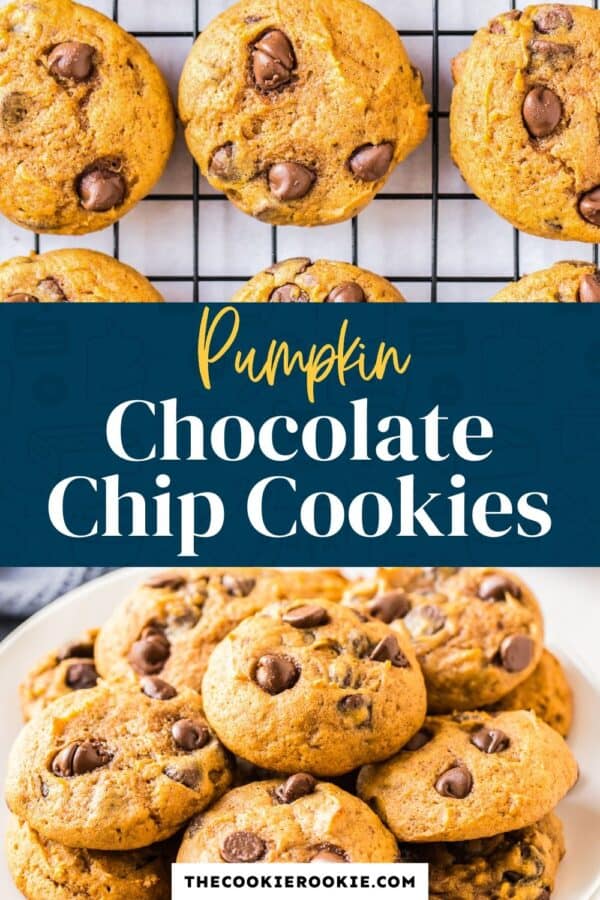 pumpkin chocolate chip cookies pinterest collage