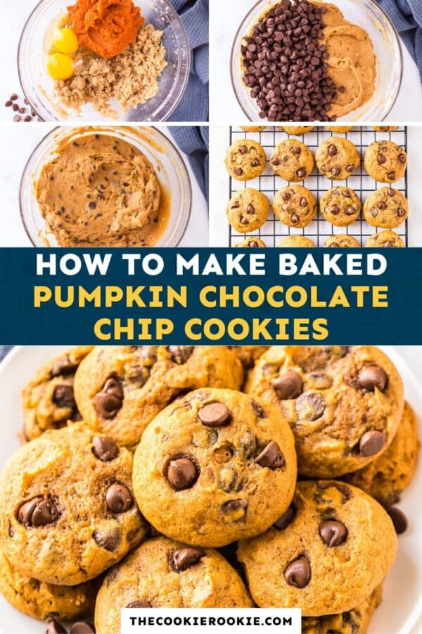 pumpkin chocolate chip cookies pinterest collage