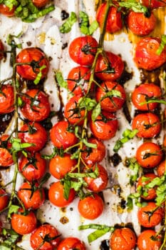 tomatoes on the vine roasted with balsamic vinegar