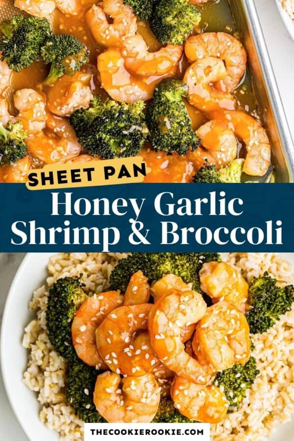 honey garlic shrimp and broccoli pinterest