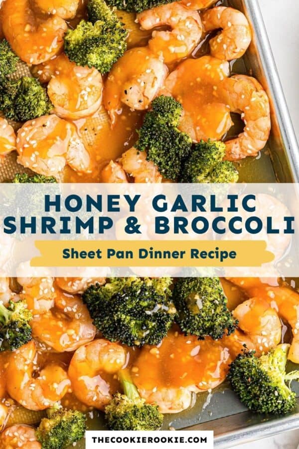 honey garlic shrimp and broccoli pinterest