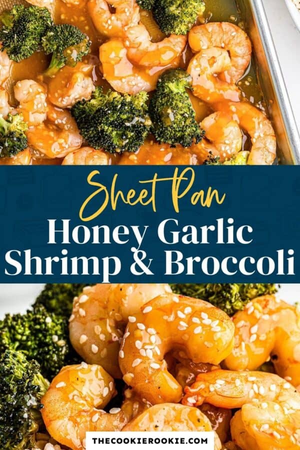 honey garlic shrimp and broccoli pinterest