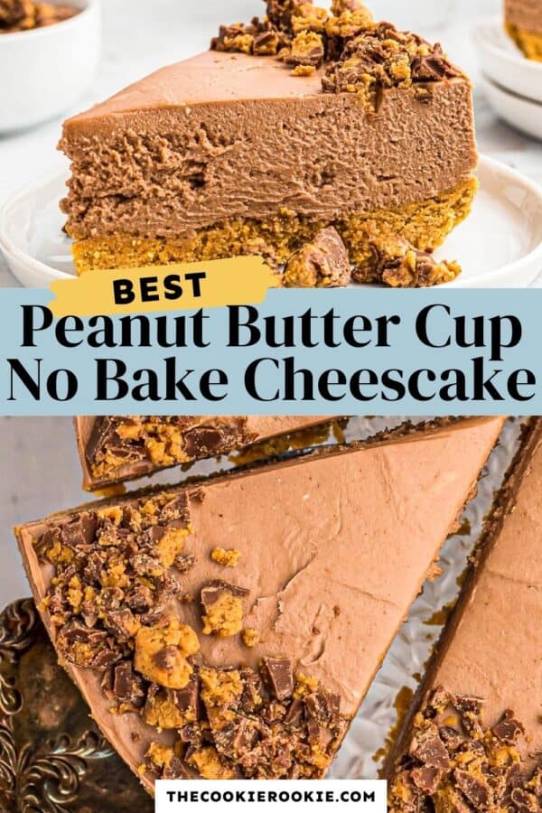 chocolate peanut butter no bake cheesecake recipe pinterest collage