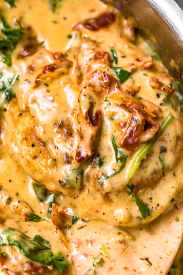 up close image of tuscan chicken in parmesan cream sauce