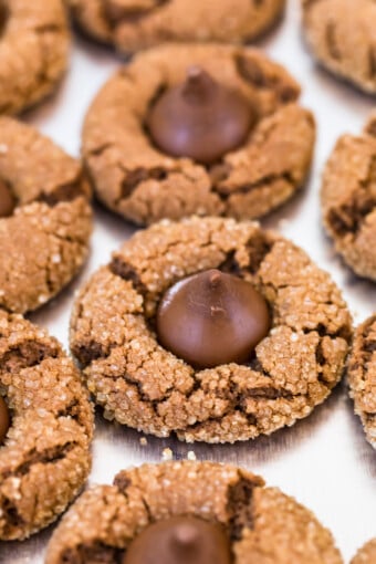 Chocolate Peanut Butter Blossoms Recipe - The Cookie Rookie®