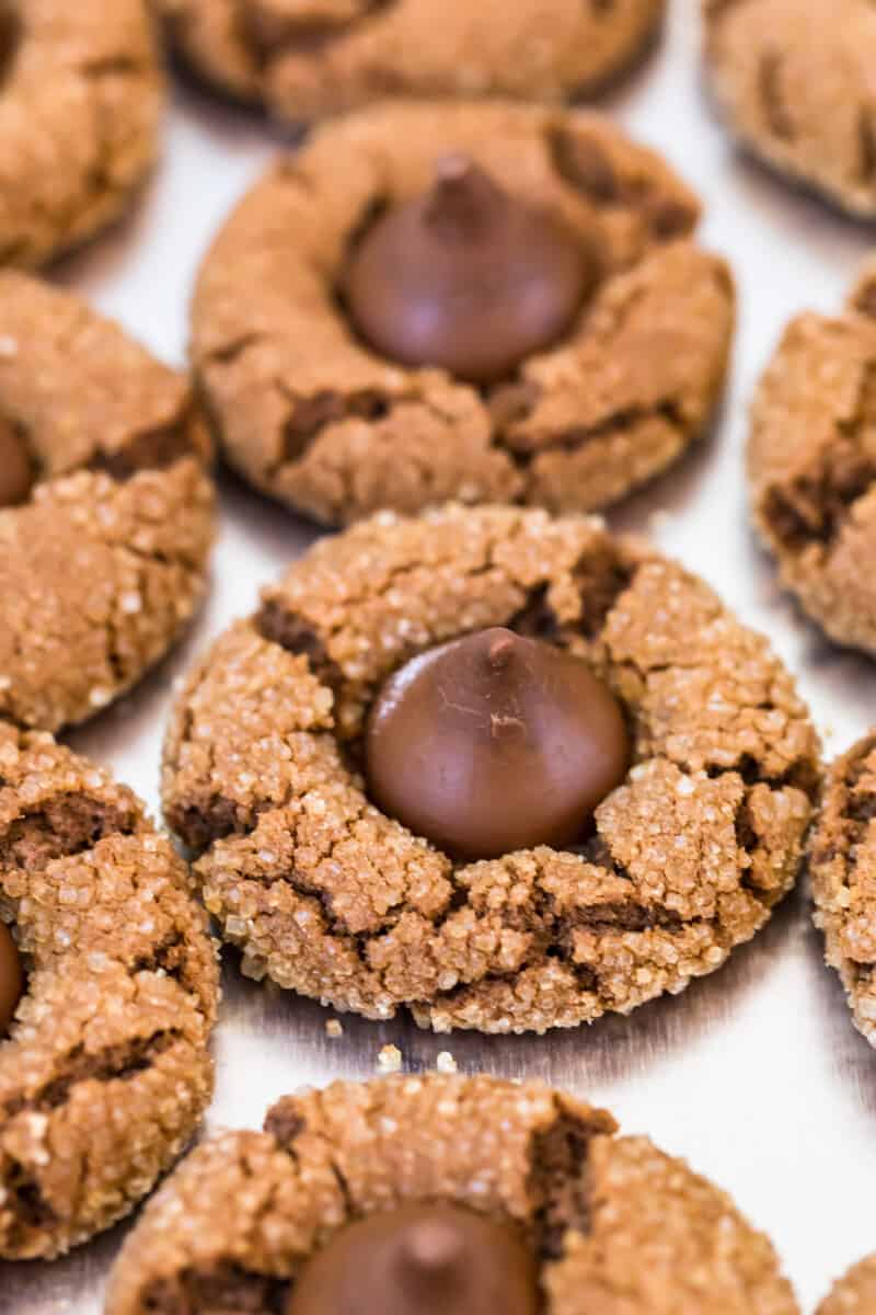 chocolate peanut butter blossoms on baking sheet