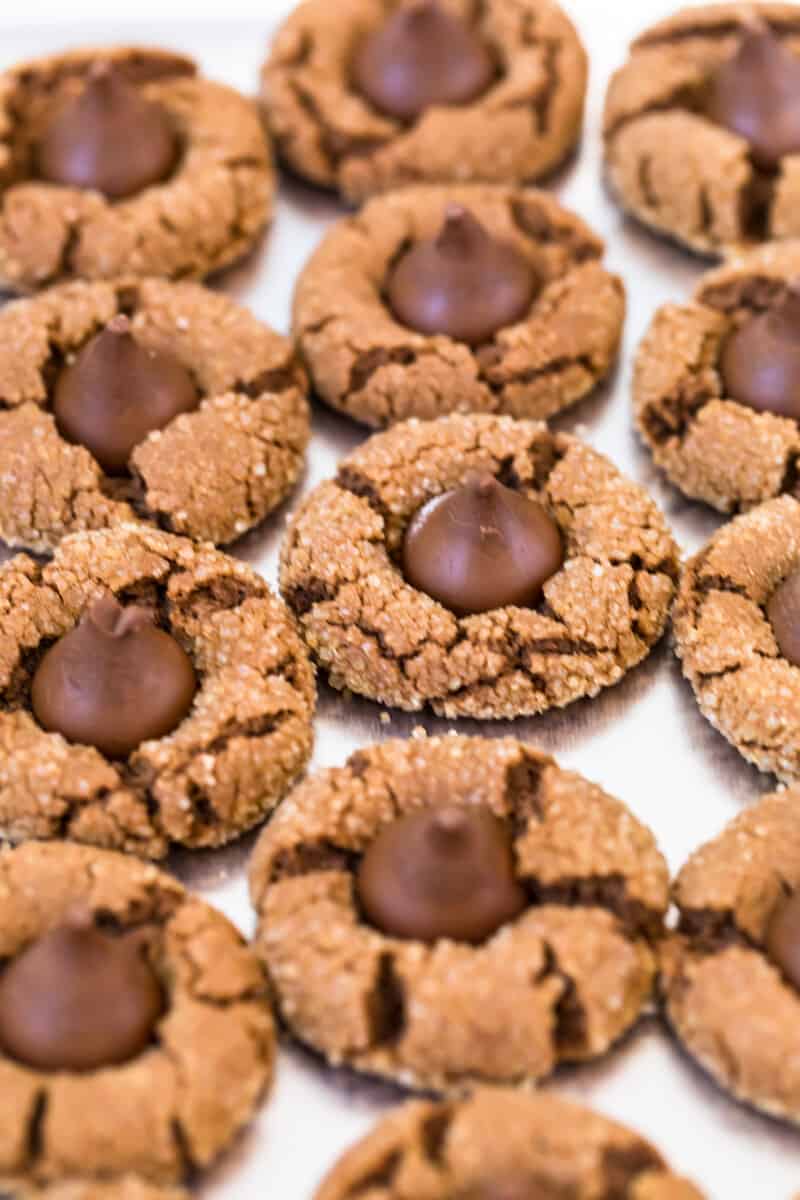 chocolate peanut butter blossoms on baking sheet