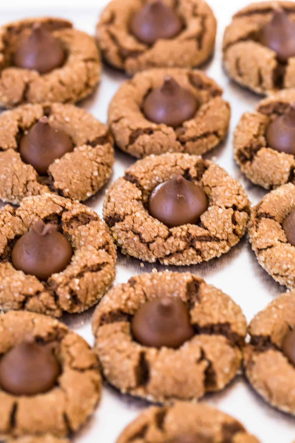 Chocolate Peanut Butter Blossoms The Cookie Rookie®