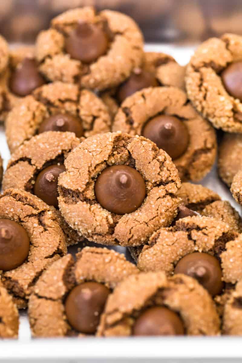 up close image of chocolate blossoms