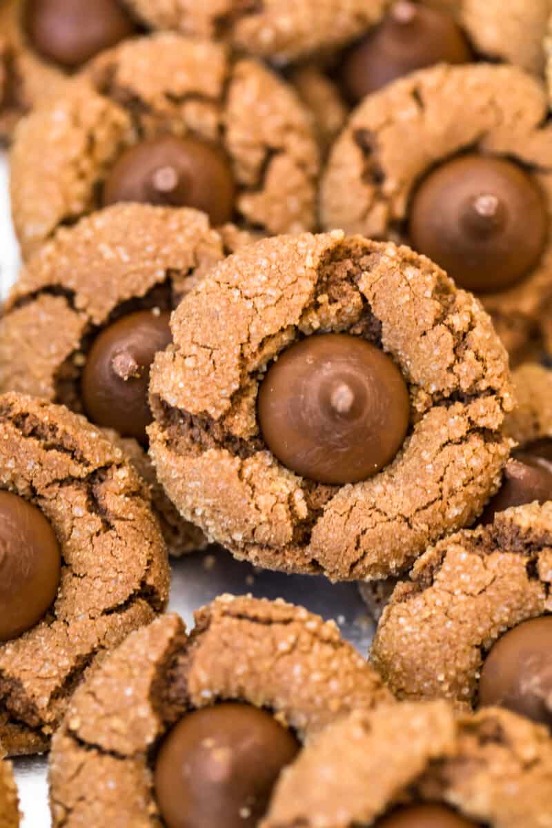 up close image of chocolate blossoms