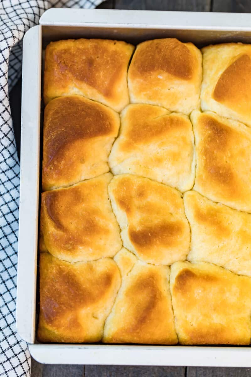 overhead image of yeast rolls in pan