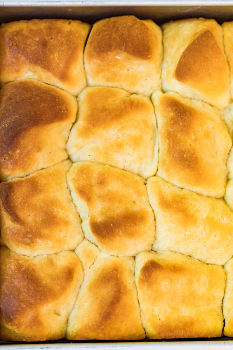 up close image of yeast rolls