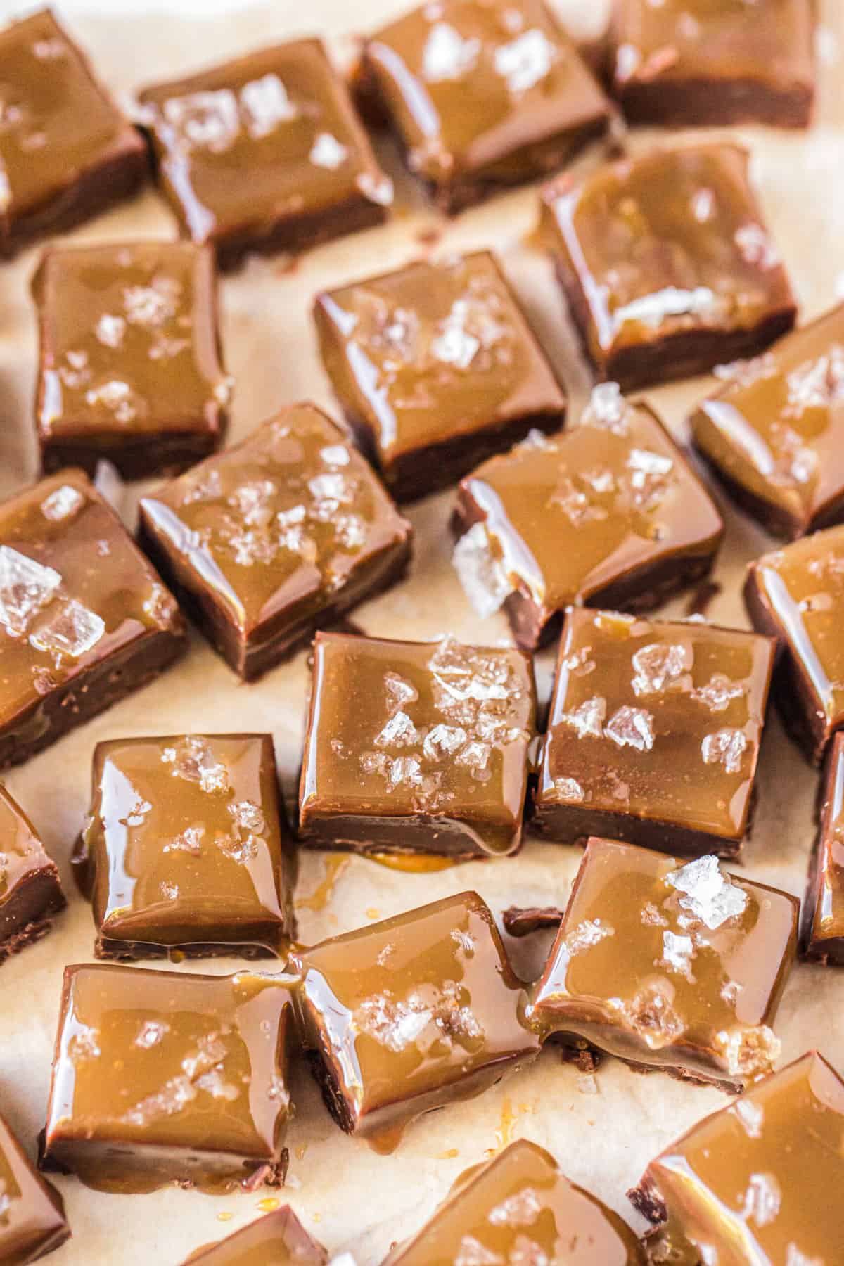 Homemade Chocolate Fudge - Bakers Table