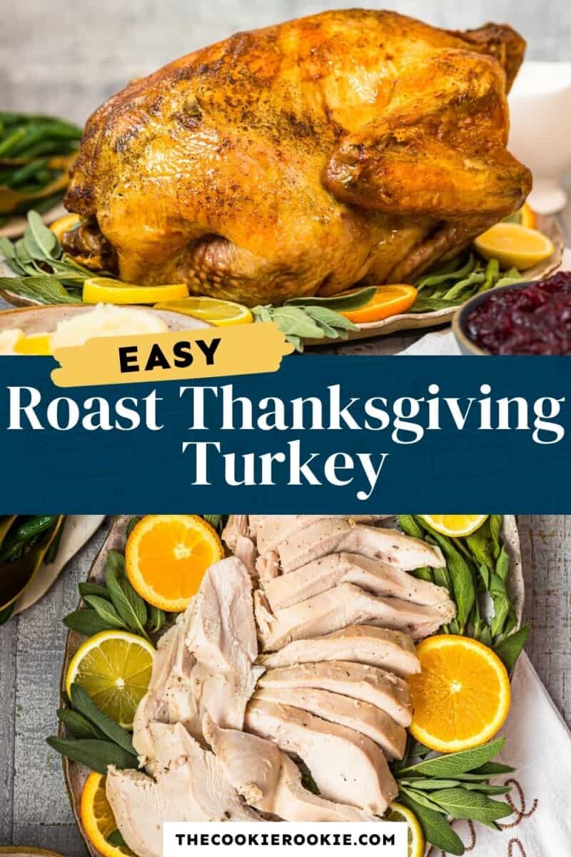 easy thanksgiving turkey pinterest collage