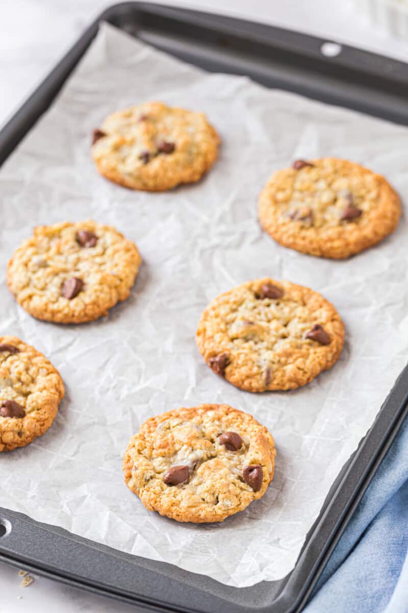 oatmeal chocolate chip cookies on sheet pan