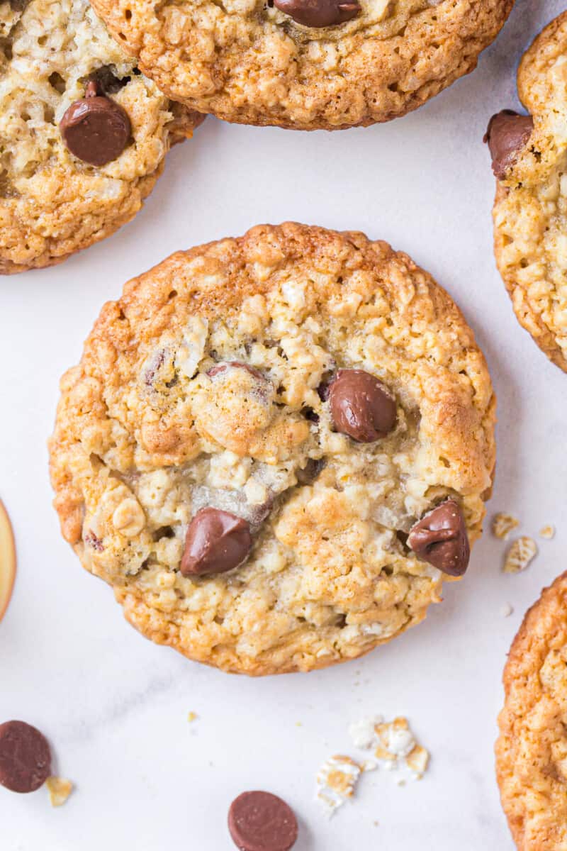 up close image of honey oatmeal chocolate chip cookie