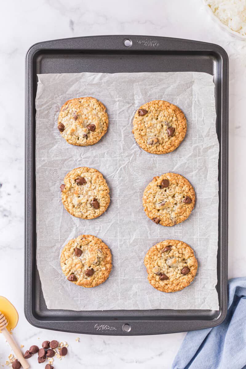 oatmeal chocolate chip cookies on sheet pan