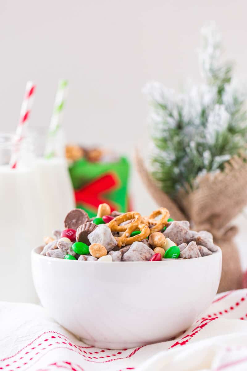 reindeer puppy chow in bowl