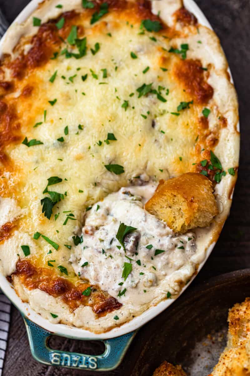 48+ Cheese Dip Recipes - The Cookie Rookie