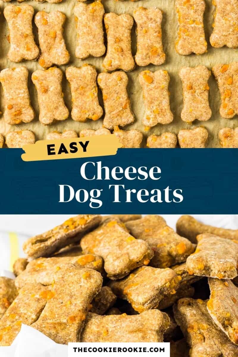 cheese dog treats pinterest collage