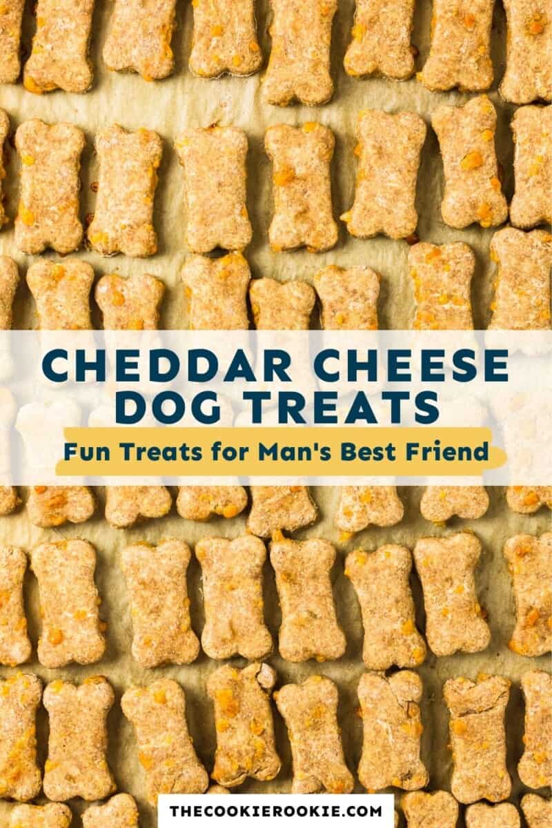 cheese dog treats pinterest collage