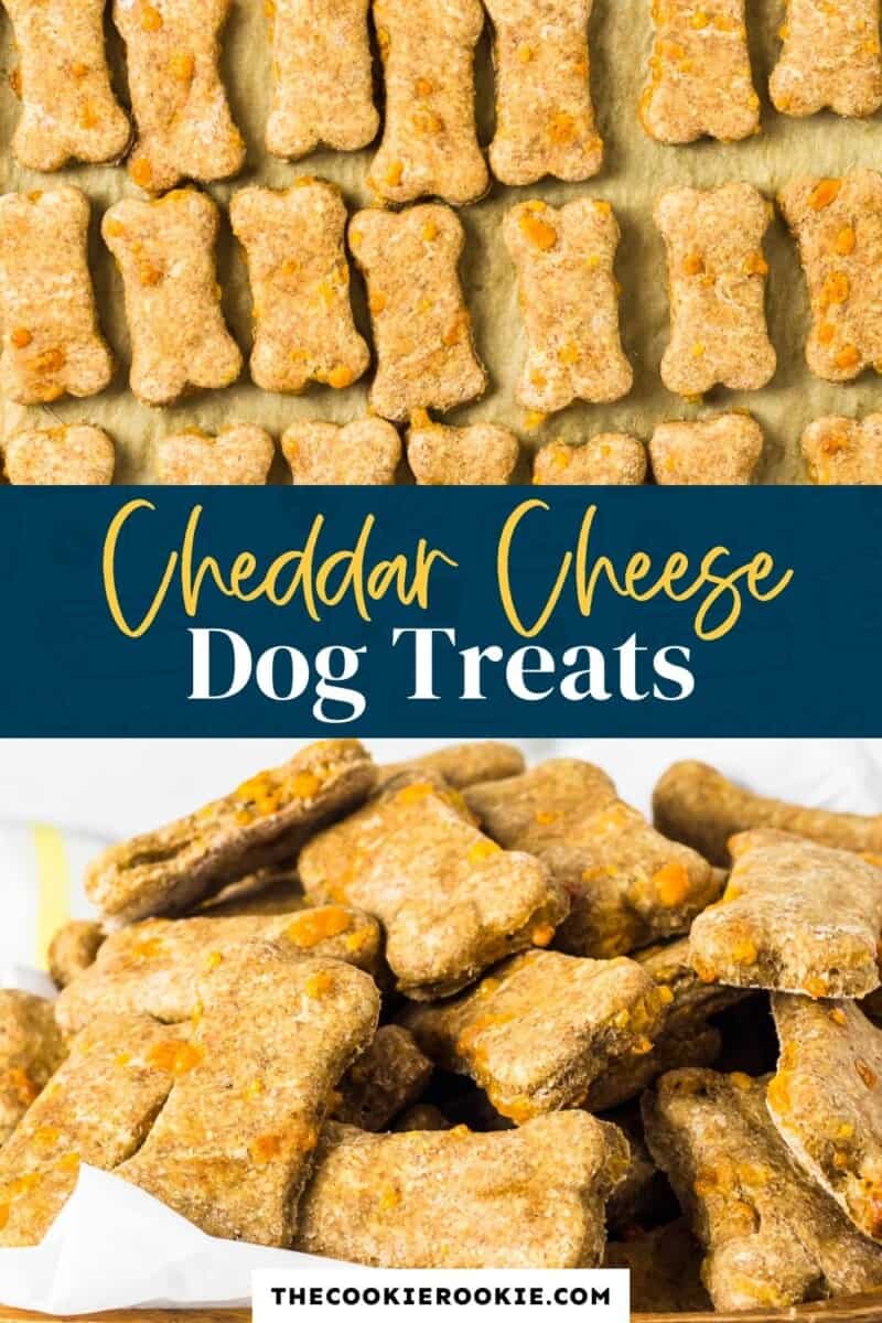 cheese dog treats pinterest collage