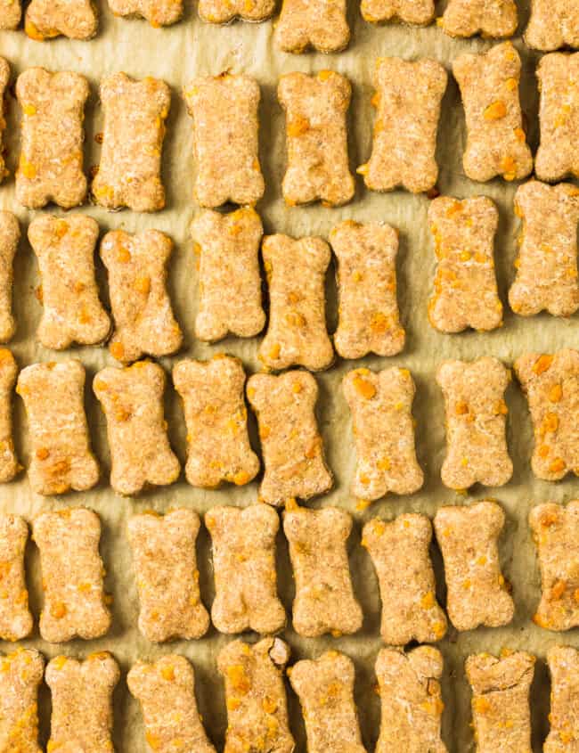 cheddar cheese dog treats on baking sheet