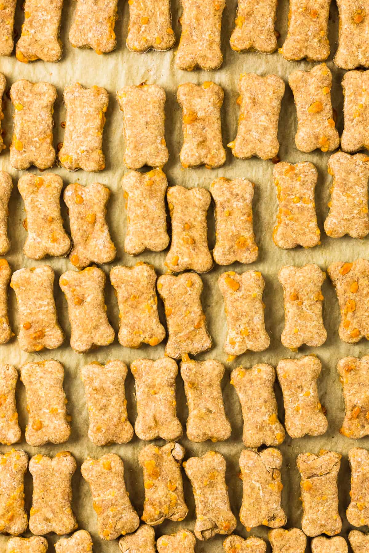 cheddar cheese dog treats on baking sheet