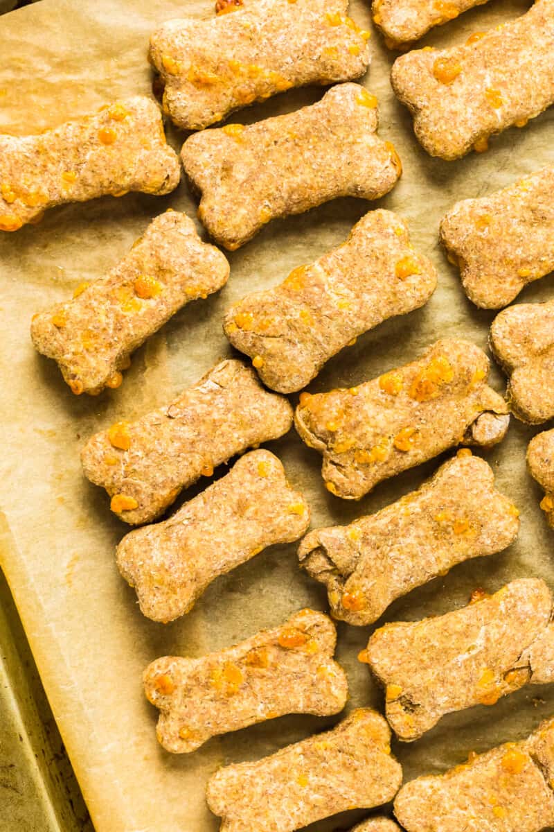 cheddar cheese dog treats on baking sheet and parchment
