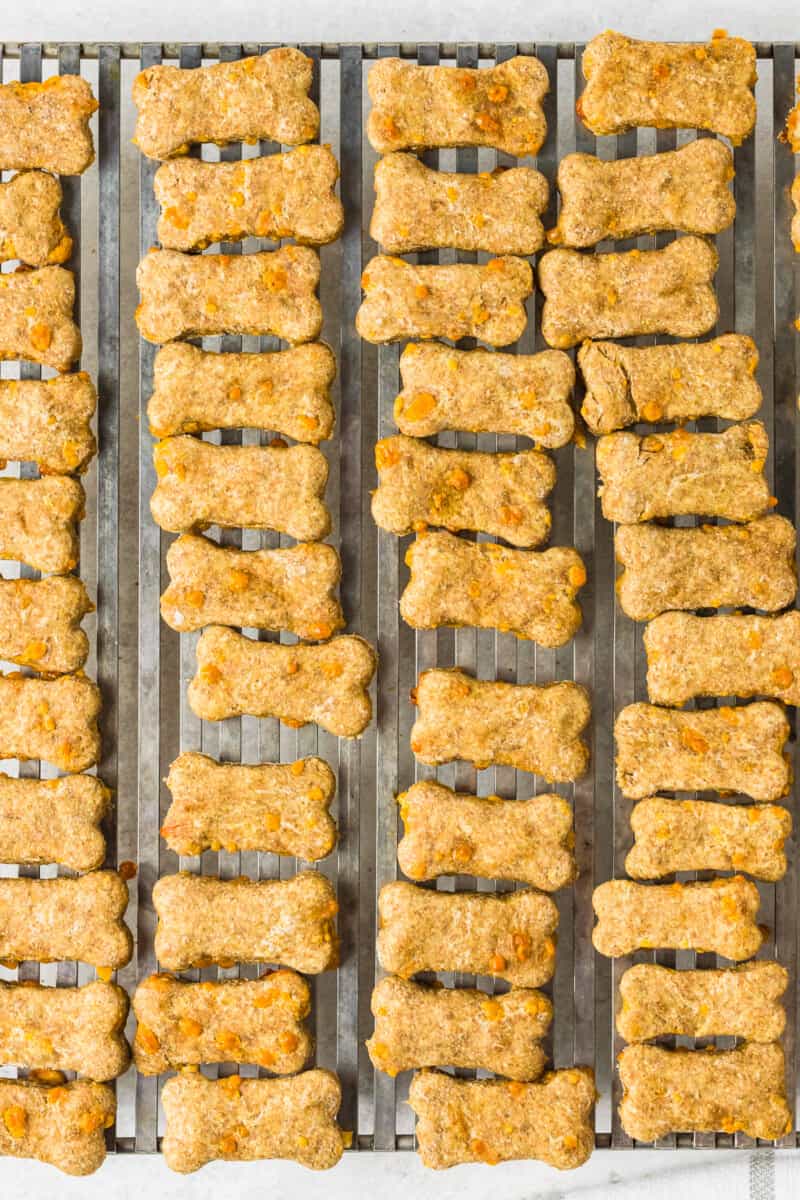 cheddar cheese dog treats on cooling rack