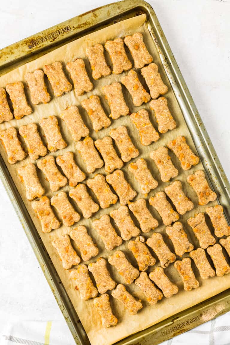 Cheese Treats for Dogs The Cookie Rookie®