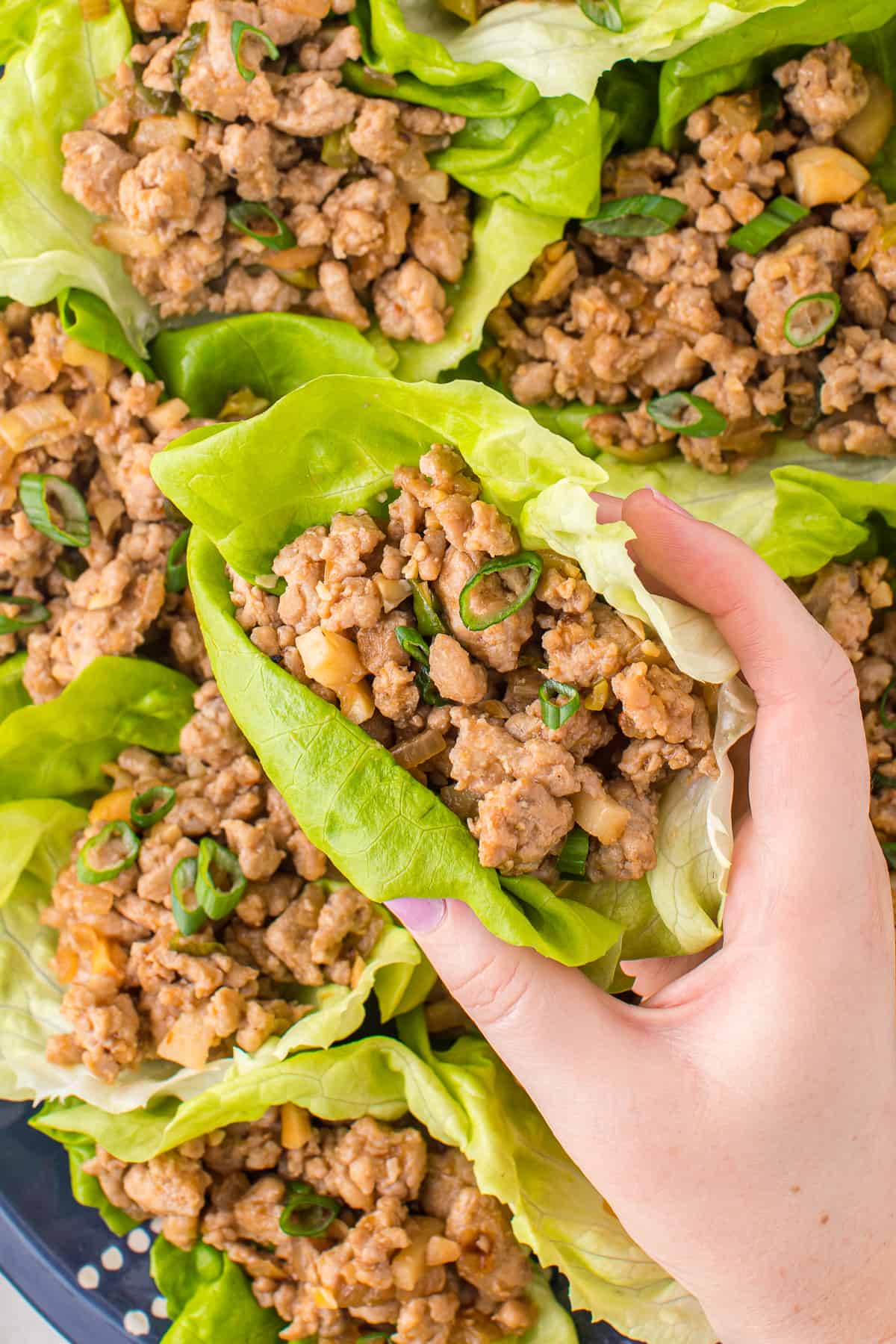 lifting up chicken lettuce wrap from platter