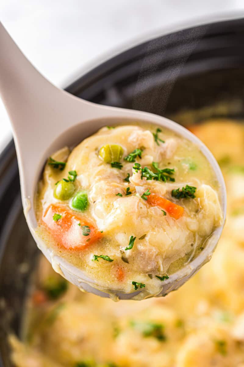 ladle lifting up chicken and dumplings in crockpot