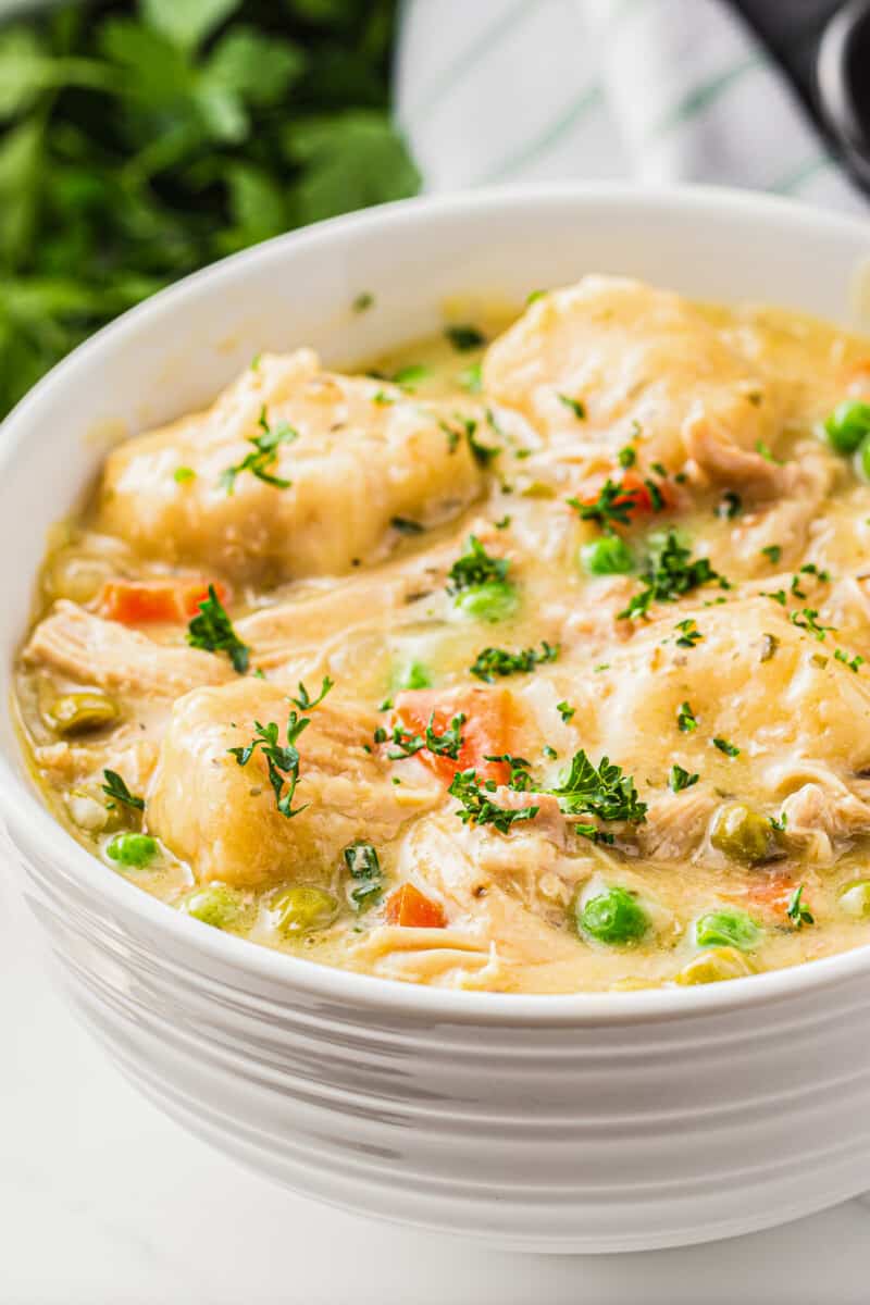 up close bowl of crockpot chicken and dumplings garnished with parsley