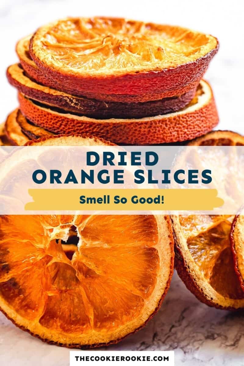 dried orange slices pinterest collage