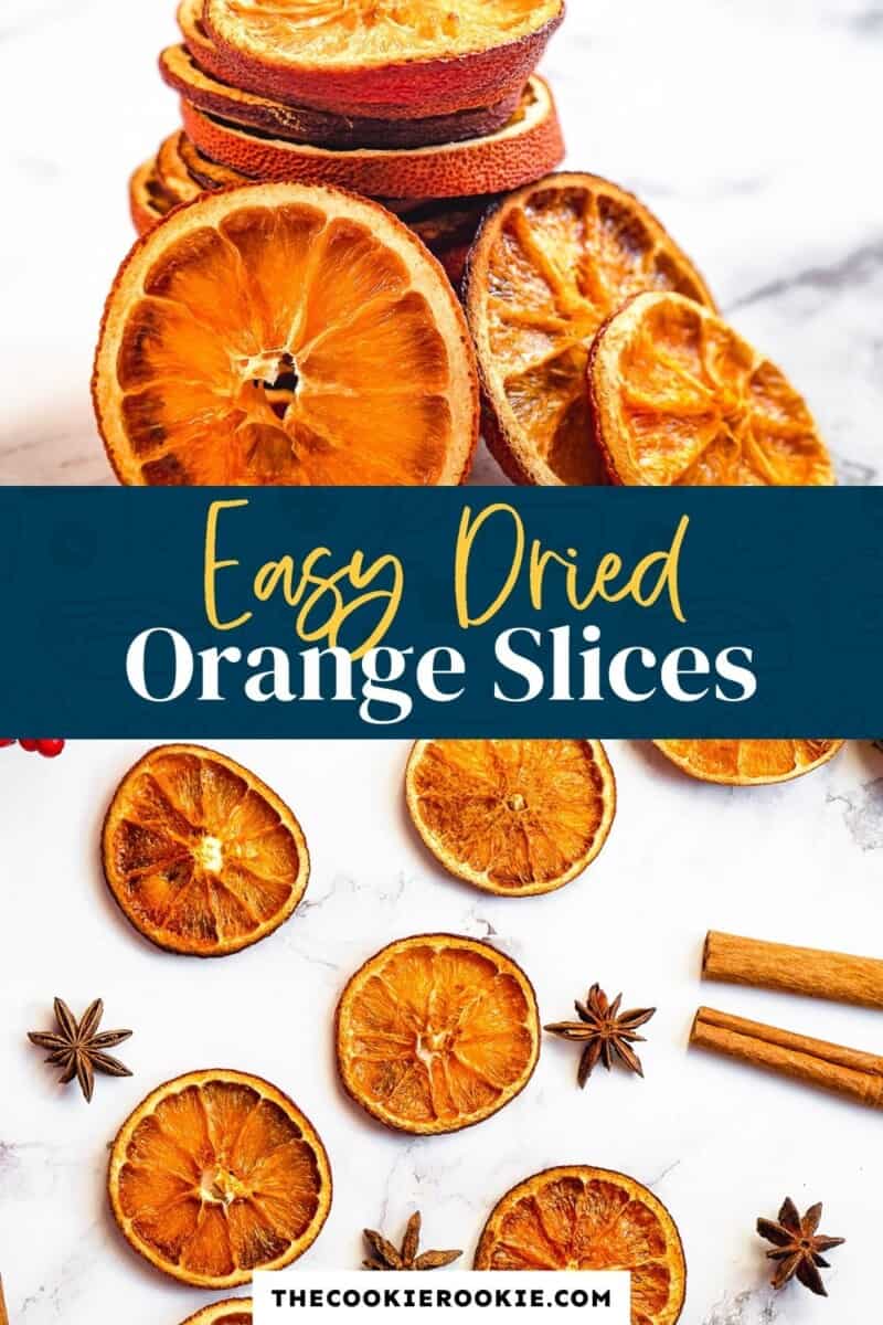 dried orange slices pinterest collage