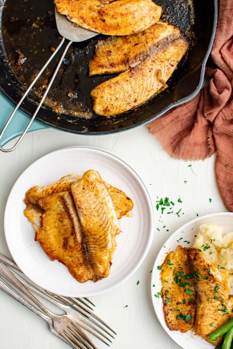 pan fried tilapia on white plates