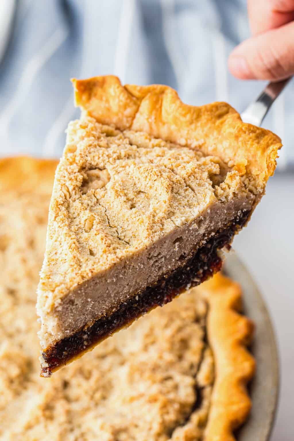 Shoofly Pie The Cookie Rookie®