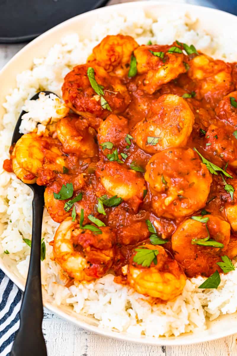 creole shrimp served over rice