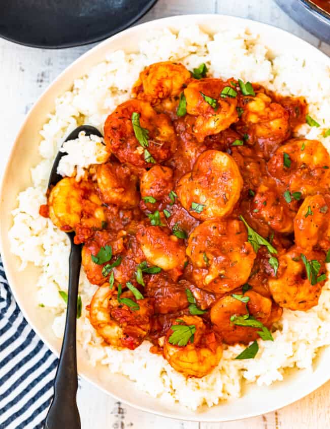 creole shrimp served over rice