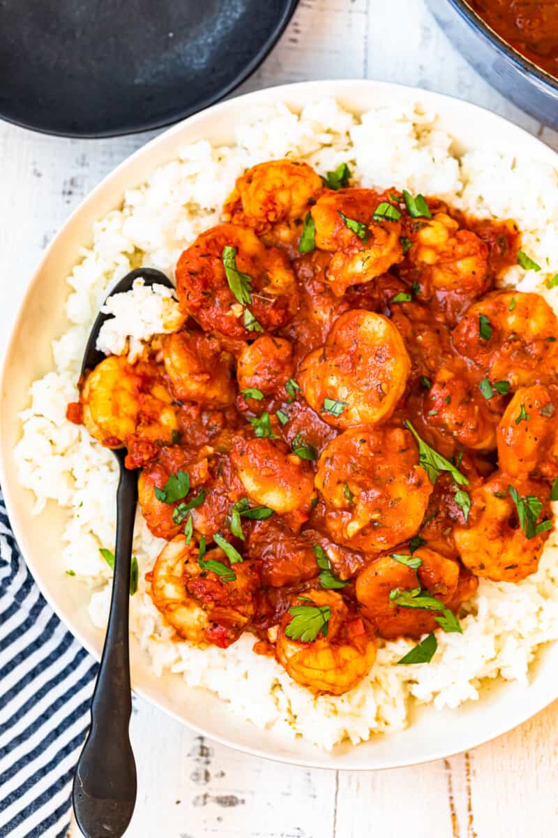 creole shrimp served over rice