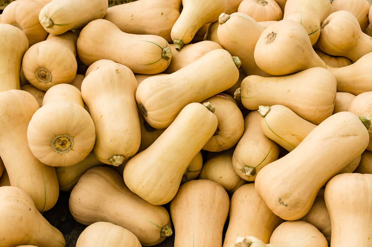 How to cut butternut squash—the right way - Reviewed