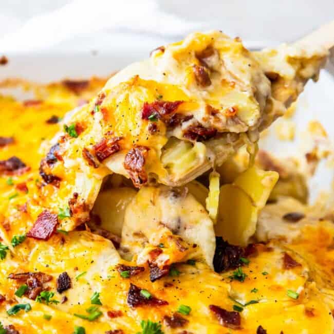 spoon lifting up loaded scalloped potatoes