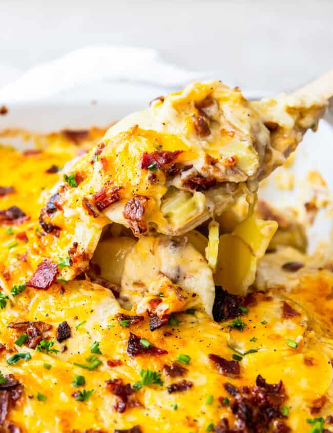 spoon lifting up loaded scalloped potatoes